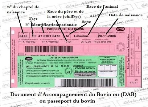 Quel est le vrai niveau de service du casino Nine en ligne ?